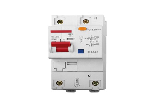 DZ47LE-100-1p
