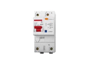DZ47LE-100-1p