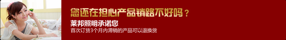 莱邦电器